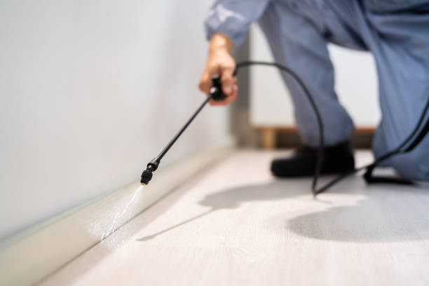 Bed Bug Pre-Treatment Preparation Assessment in Keys