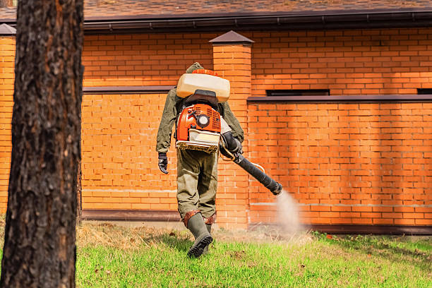 Bed Bug Clearance Verification and Documentation in Keys